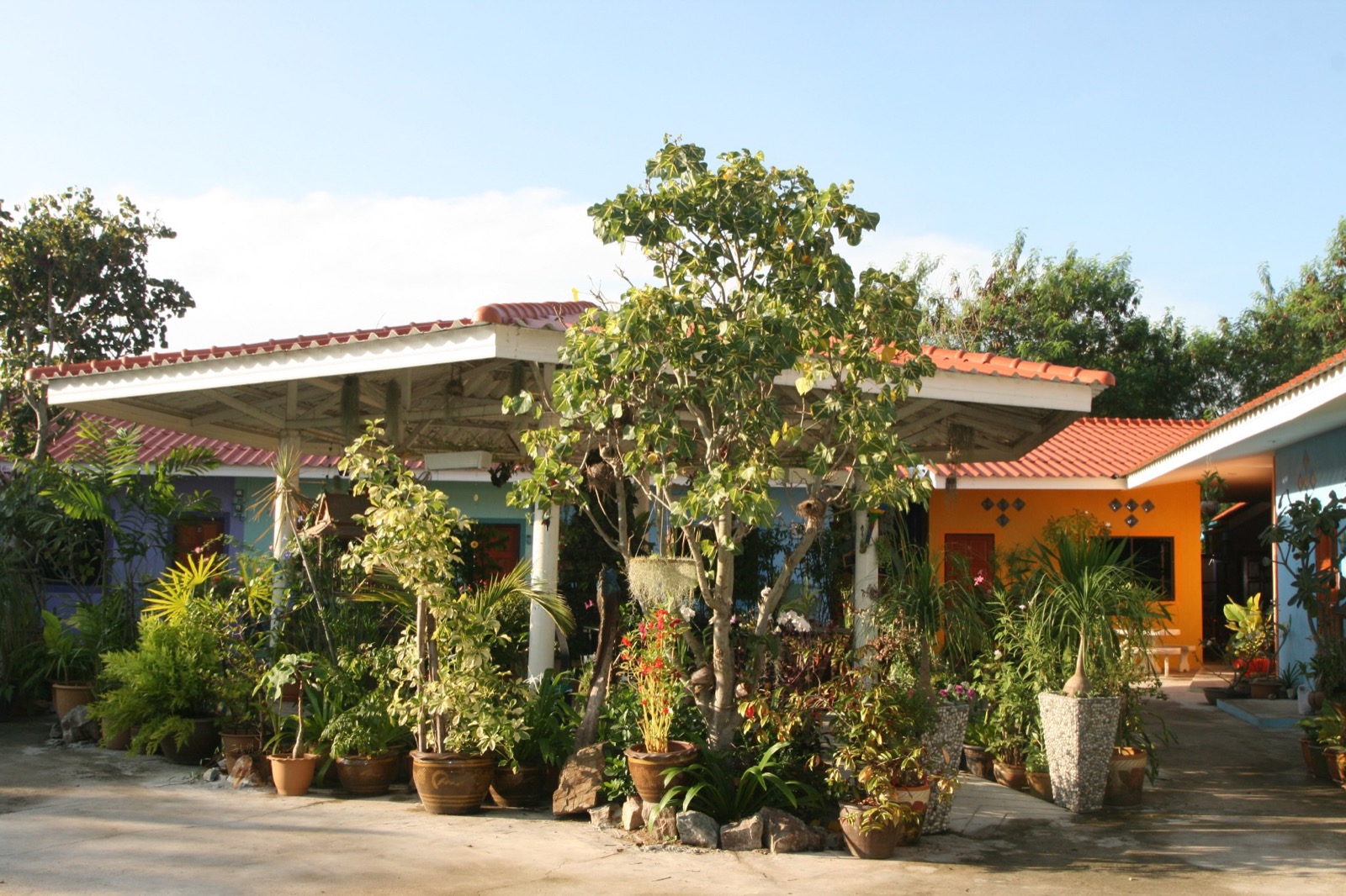 เปิดรูปภาพ