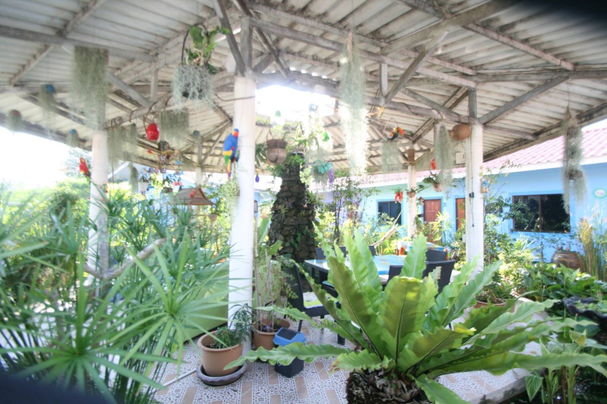 ภาพหลัก