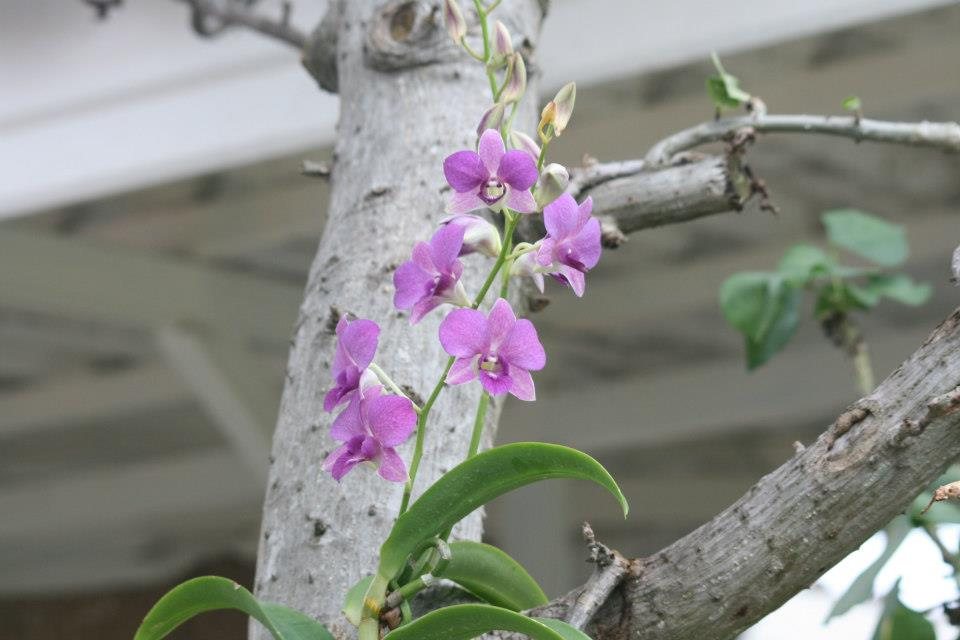 ธรรมชาติ