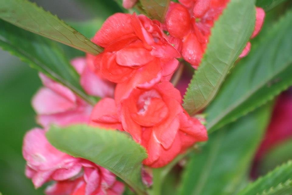 ธรรมชาติ