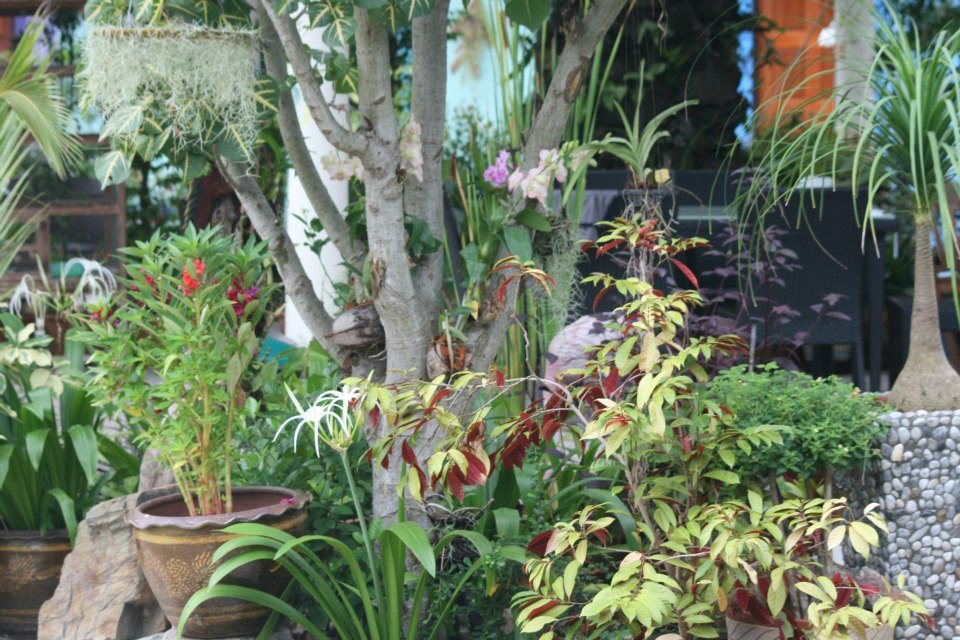 ธรรมชาติ