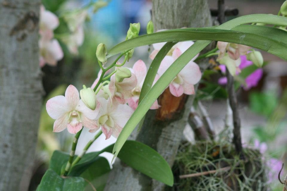 ธรรมชาติ