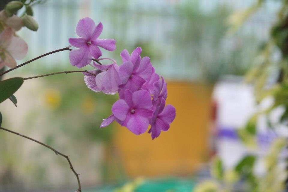 ธรรมชาติ