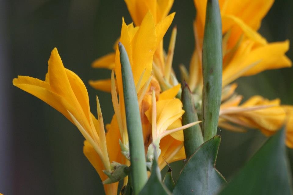 ธรรมชาติ