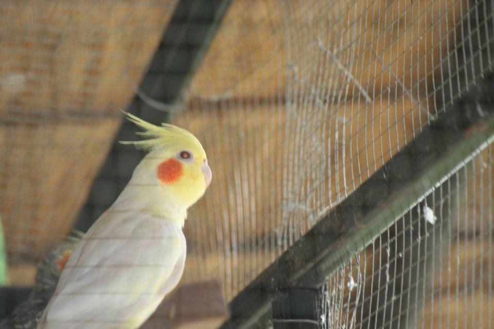 ธรรมชาติ