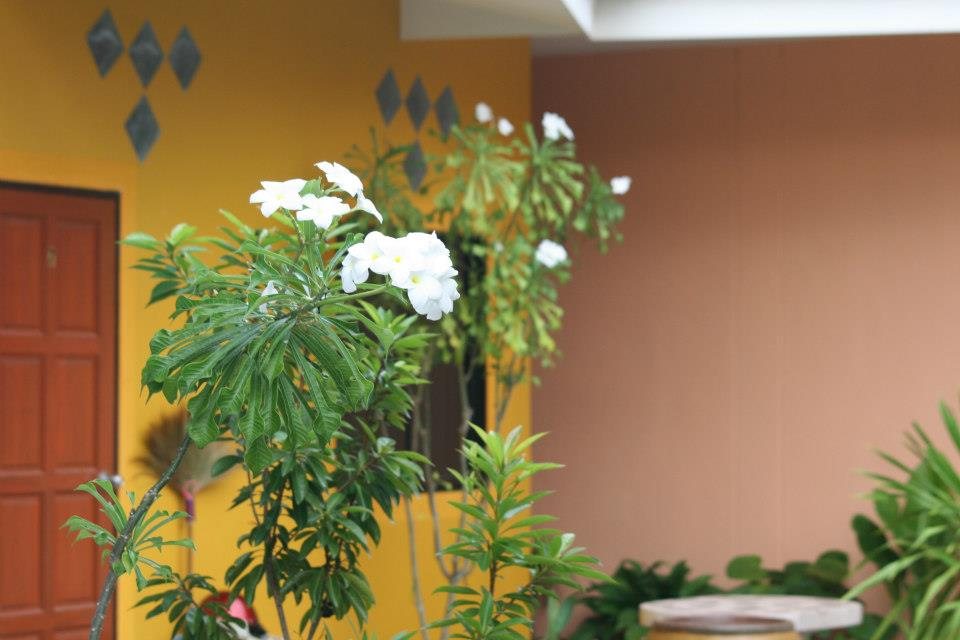 ธรรมชาติ