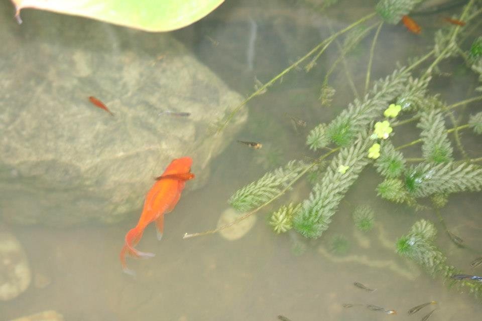 ธรรมชาติ