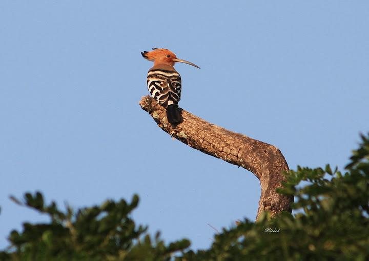 ธรรมชาติ